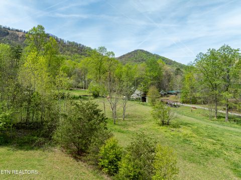Tiny photo for Dry Valley Rd, Townsend, TN 37882 (MLS # 1335957)