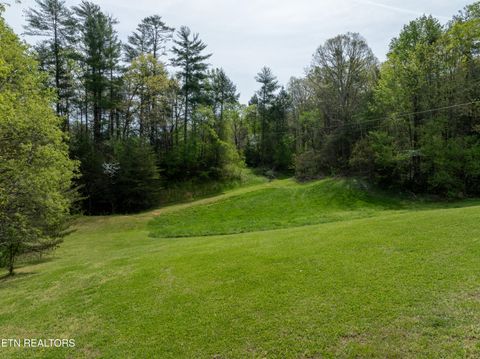 Tiny photo for Dry Valley Rd, Townsend, TN 37882 (MLS # 1335957)