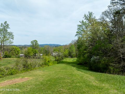 Tiny photo for Dry Valley Rd, Townsend, TN 37882 (MLS # 1335957)