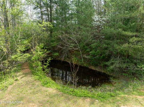 Tiny photo for Dry Valley Rd, Townsend, TN 37882 (MLS # 1335957)