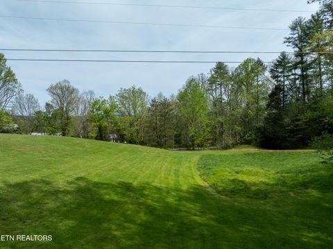 Tiny photo for Dry Valley Rd, Townsend, TN 37882 (MLS # 1335957)