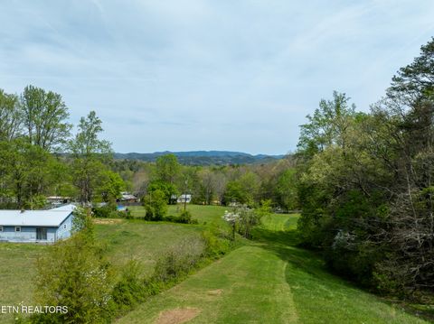 Tiny photo for Dry Valley Rd, Townsend, TN 37882 (MLS # 1335957)