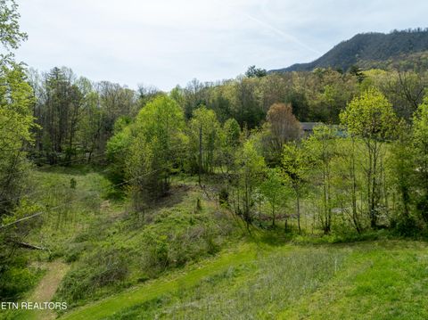 Tiny photo for Dry Valley Rd, Townsend, TN 37882 (MLS # 1335957)