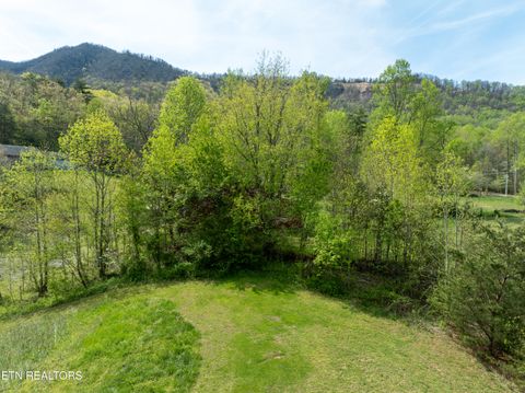 Tiny photo for Dry Valley Rd, Townsend, TN 37882 (MLS # 1335957)