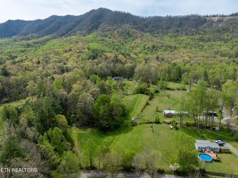 Tiny photo for Dry Valley Rd, Townsend, TN 37882 (MLS # 1335957)