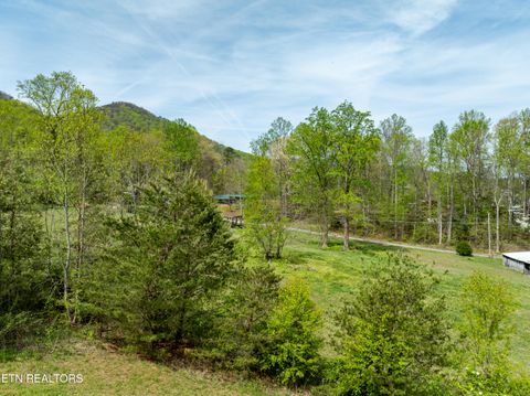 Tiny photo for Dry Valley Rd, Townsend, TN 37882 (MLS # 1335957)
