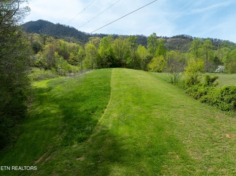 Tiny photo for Dry Valley Rd, Townsend, TN 37882 (MLS # 1335957)