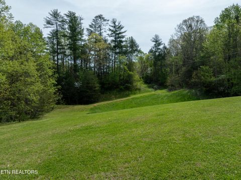 Tiny photo for Dry Valley Rd, Townsend, TN 37882 (MLS # 1335957)