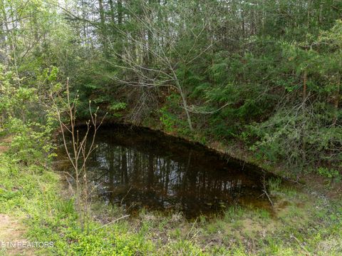 Tiny photo for Dry Valley Rd, Townsend, TN 37882 (MLS # 1335957)