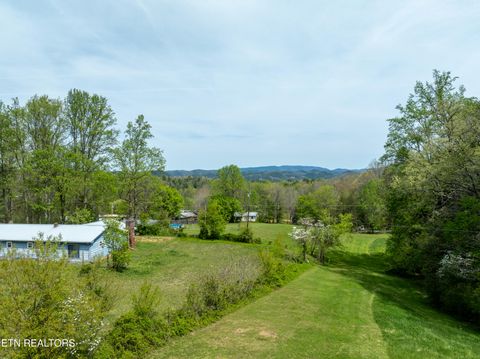 Tiny photo for Dry Valley Rd, Townsend, TN 37882 (MLS # 1335957)