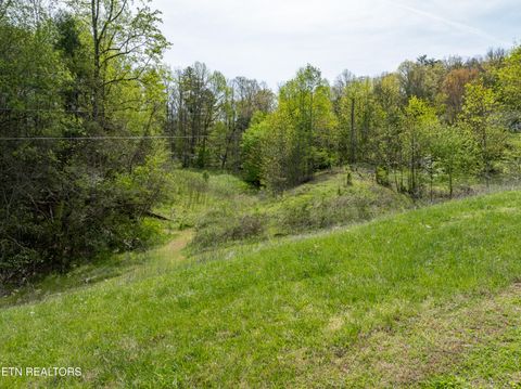 Tiny photo for Dry Valley Rd, Townsend, TN 37882 (MLS # 1335957)