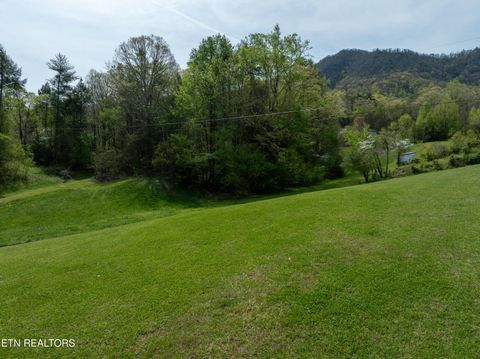Tiny photo for Dry Valley Rd, Townsend, TN 37882 (MLS # 1335957)