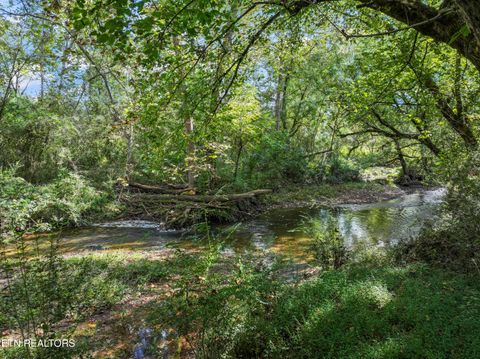 Tiny photo for 194 Sweet Gum Lane, Oak Ridge, TN 37830 (MLS # 1317023)
