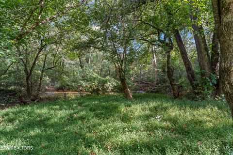 Tiny photo for 194 Sweet Gum Lane, Oak Ridge, TN 37830 (MLS # 1317023)
