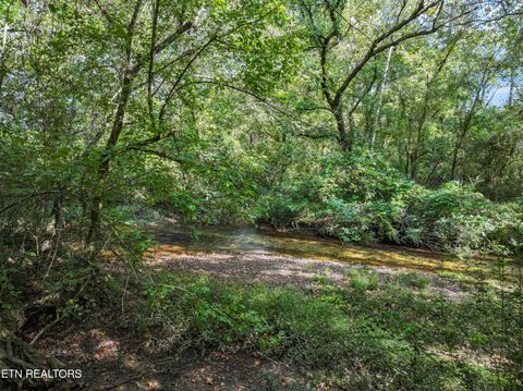 Tiny photo for 194 Sweet Gum Lane, Oak Ridge, TN 37830 (MLS # 1317023)
