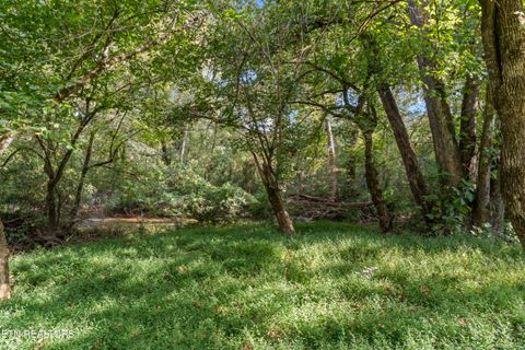 Tiny photo for 194 Sweet Gum Lane, Oak Ridge, TN 37830 (MLS # 1317023)