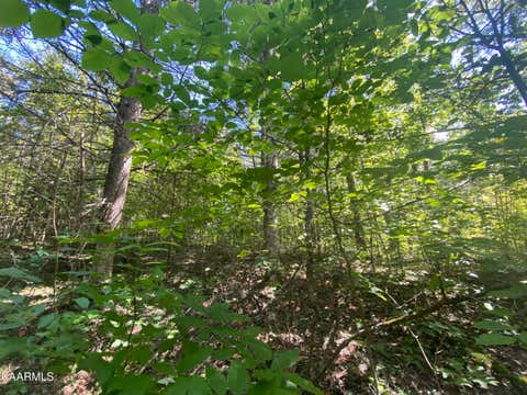 Featured picture for the property 1205661
