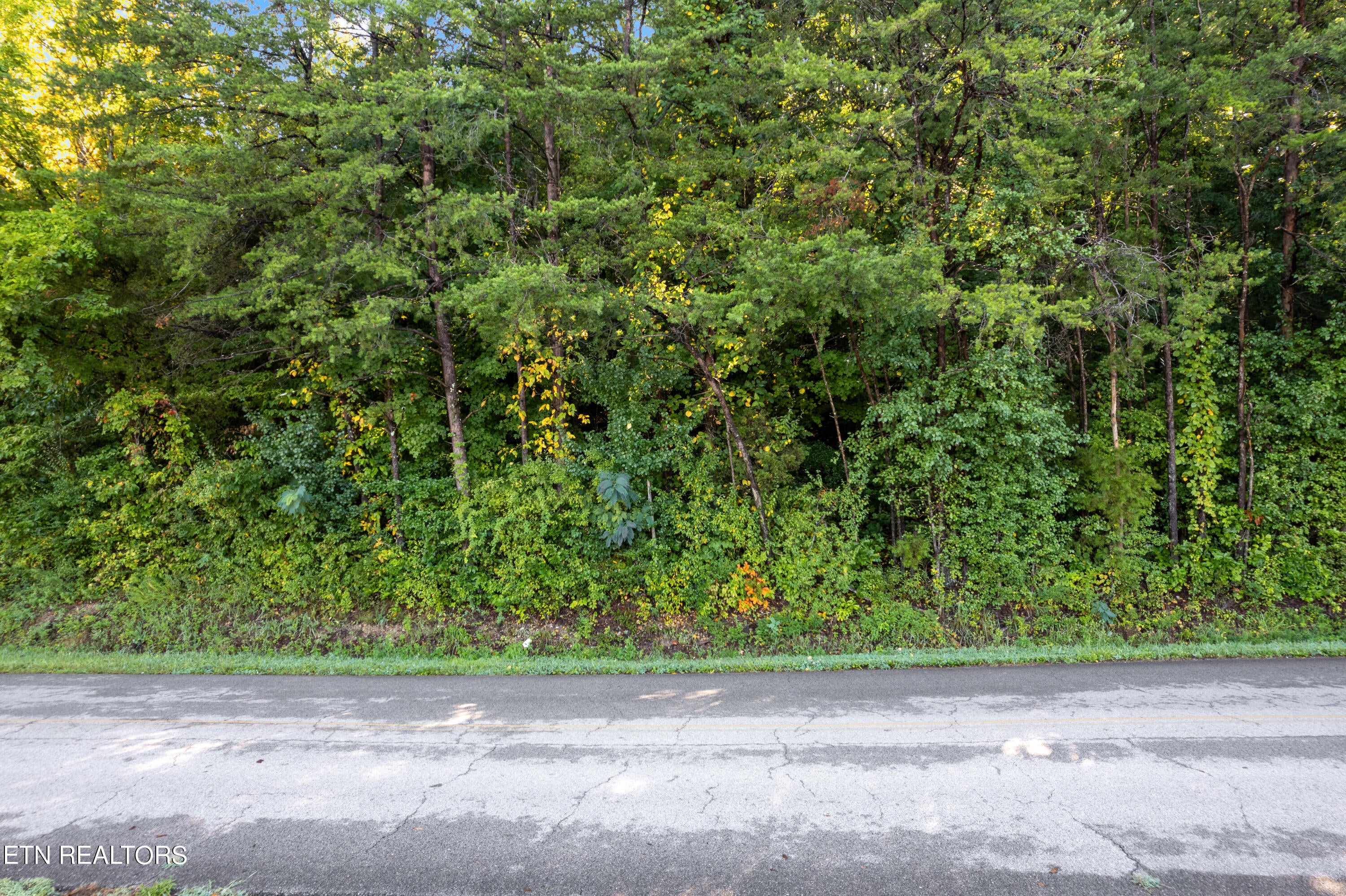 TBD Delozier Lane