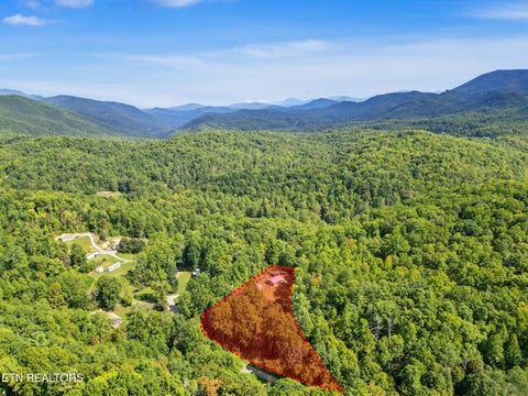Tiny photo for 724 Caney Creek Rd, Cosby, TN 37722 (MLS # 1357690)