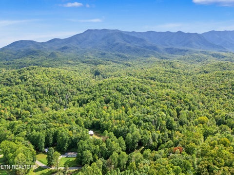 Tiny photo for 724 Caney Creek Rd, Cosby, TN 37722 (MLS # 1357690)