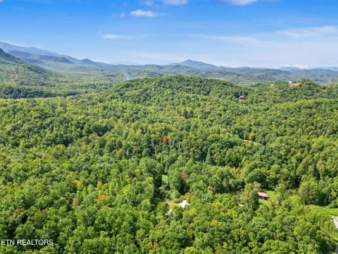 Tiny photo for 724 Caney Creek Rd, Cosby, TN 37722 (MLS # 1357690)
