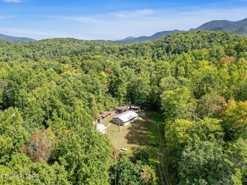 Tiny photo for 724 Caney Creek Rd, Cosby, TN 37722 (MLS # 1357690)