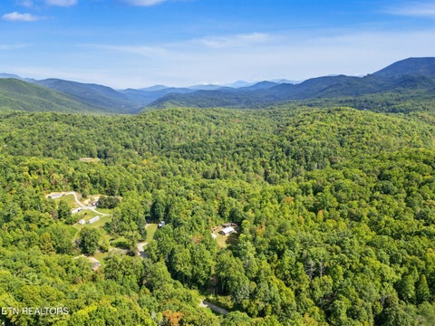 Tiny photo for 724 Caney Creek Rd, Cosby, TN 37722 (MLS # 1357690)
