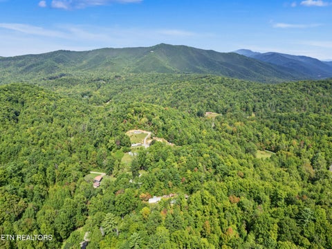 Tiny photo for 724 Caney Creek Rd, Cosby, TN 37722 (MLS # 1357690)