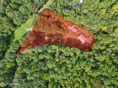 Tiny photo for 724 Caney Creek Rd, Cosby, TN 37722 (MLS # 1357690)
