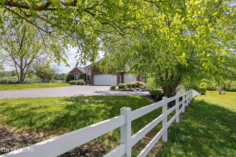 Tiny photo for 2760 Holston River Drive, Rutledge, TN 37861 (MLS # 1338616)