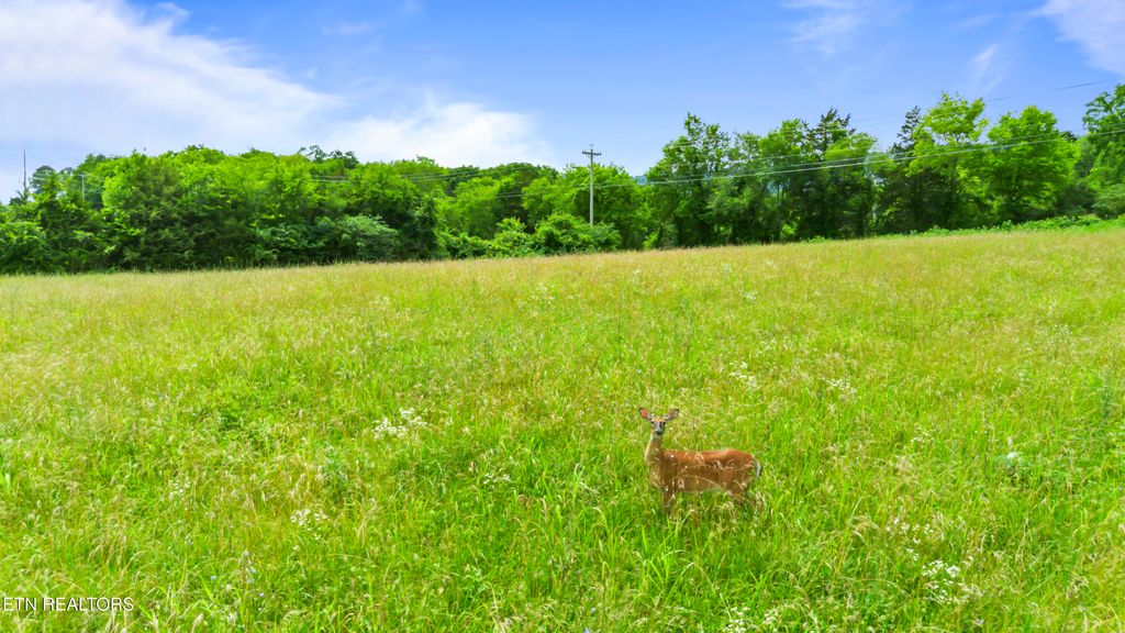 Photo of Old Middlesboro Hwy, LaFollette, TN 37766 (MLS # 1305337)