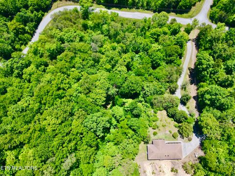Tiny photo for 454 Wildcat Hollow Rd, New Tazewell, TN 37825 (MLS # 1340114)