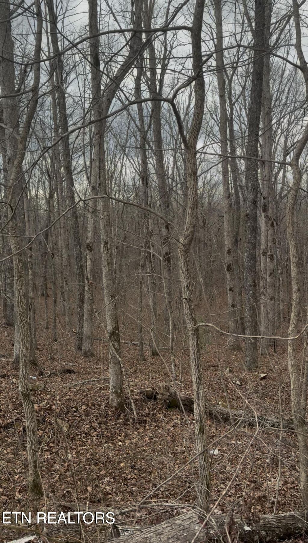 Photo of Barbee Cemetery Rd, Pikeville, TN 37367 (MLS # 1331176)