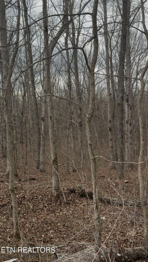 Photo of Barbee Cemetery Rd, Pikeville, TN 37367 (MLS # 1331176)