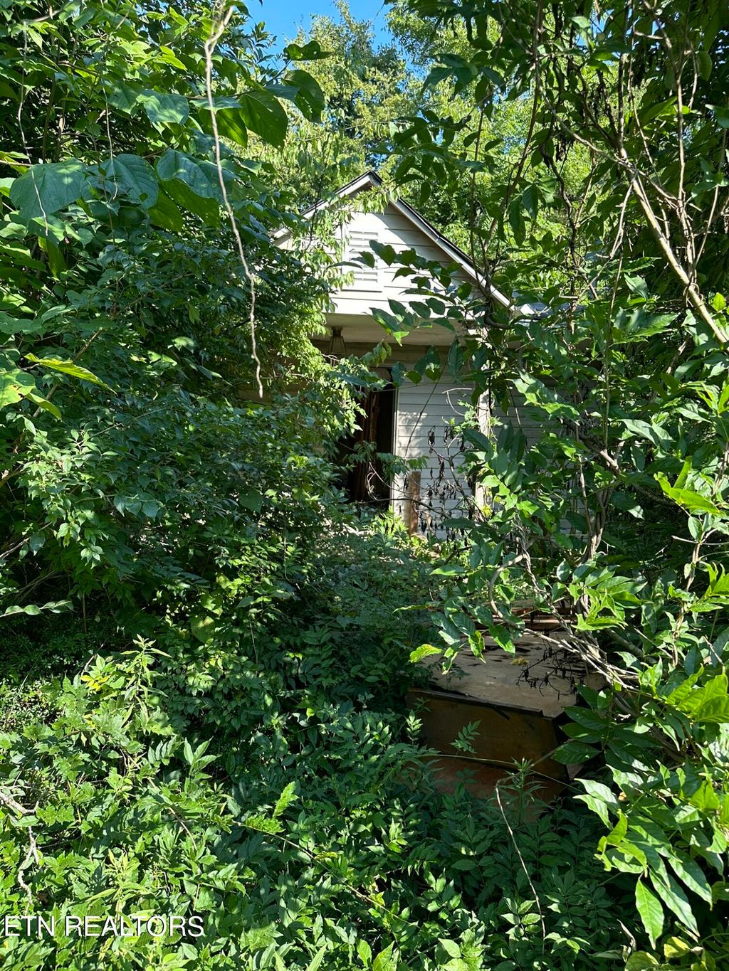 Photo of 9356 Strawberry Plains Pike Pike, Strawberry Plains, TN 37871 (MLS # 1271740)