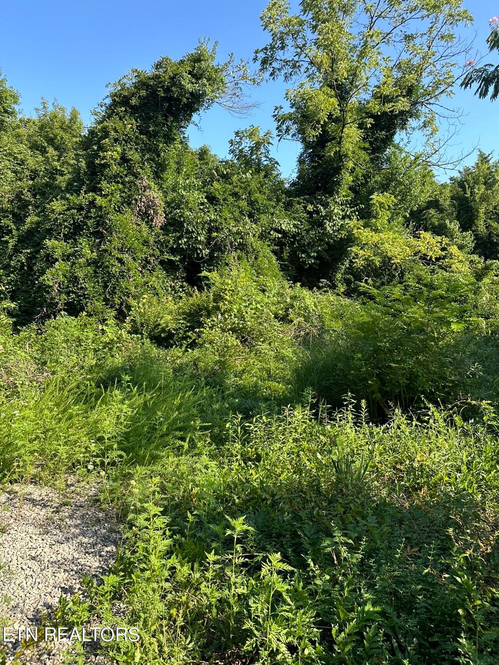 Photo of 9356 Strawberry Plains Pike Pike, Strawberry Plains, TN 37871 (MLS # 1271740)