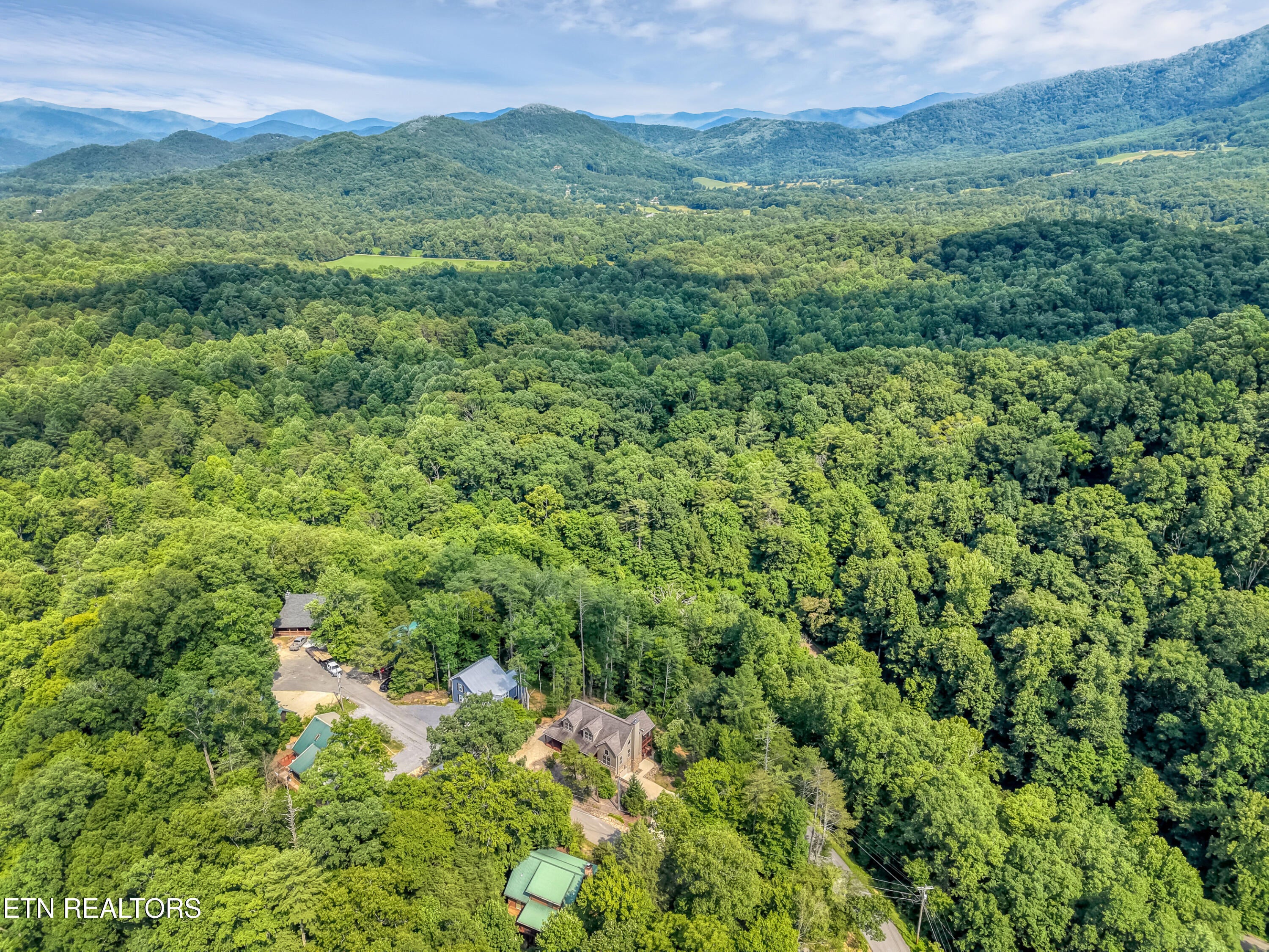 196 Cold Springs Trace