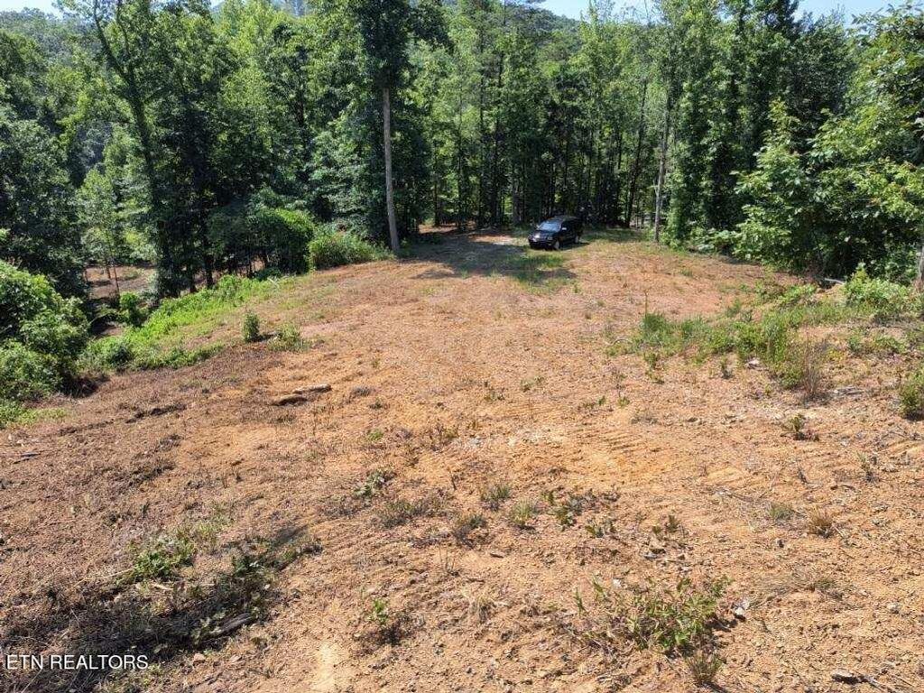 Photo of Ashe Cabin Hollow Rd, Harriman, TN 37748 (MLS # 1276690)