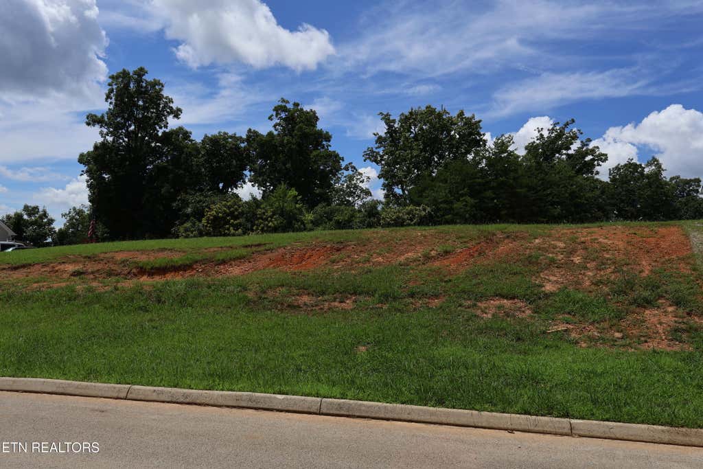 Photo of 117 Highland Reserve Way, Kingston, TN 37763 (MLS # 1341609)