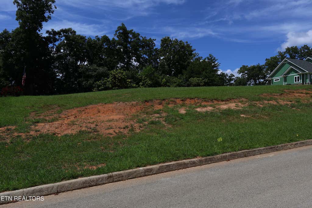 Photo of 117 Highland Reserve Way, Kingston, TN 37763 (MLS # 1341609)