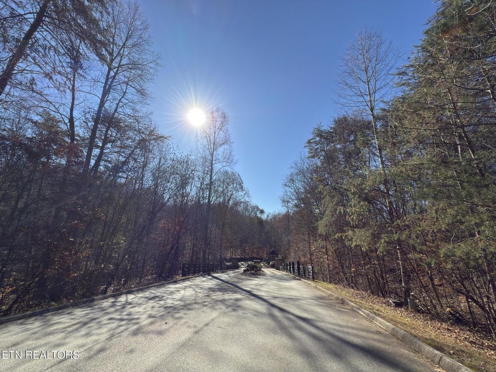 Photo of 117 Highland Reserve Way, Kingston, TN 37763 (MLS # 1341609)