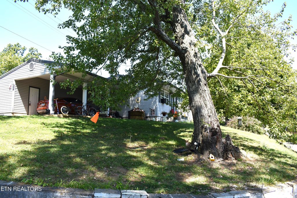 Photo of 206 Noe Drive, Tazewell, TN 37879 (MLS # 1276042)