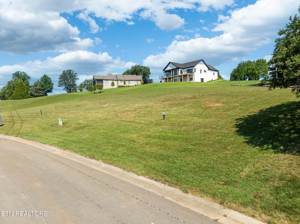 Photo of 439 Chestnut Lane, Loudon, TN 37774 (MLS # 1326245)