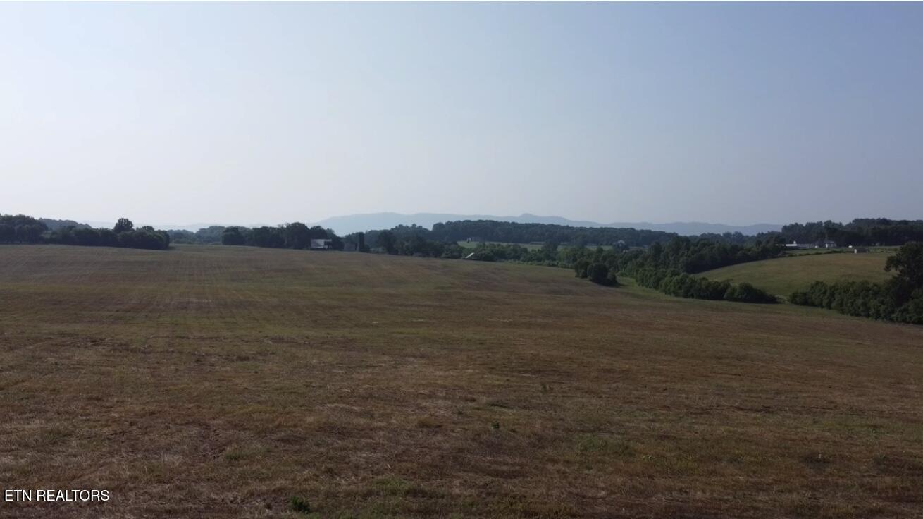 Alfred McCammon Rd Tract 8