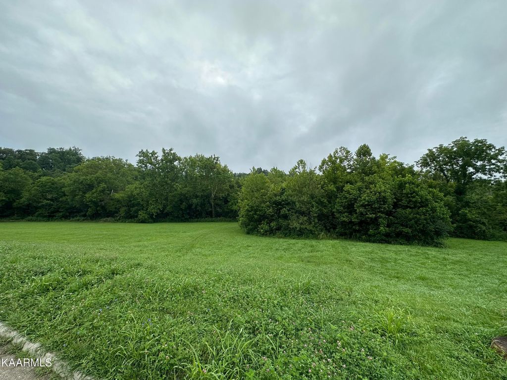 Photo of 548 Running Brook Drive, Strawberry Plains, TN 37871 (MLS # 1233765)