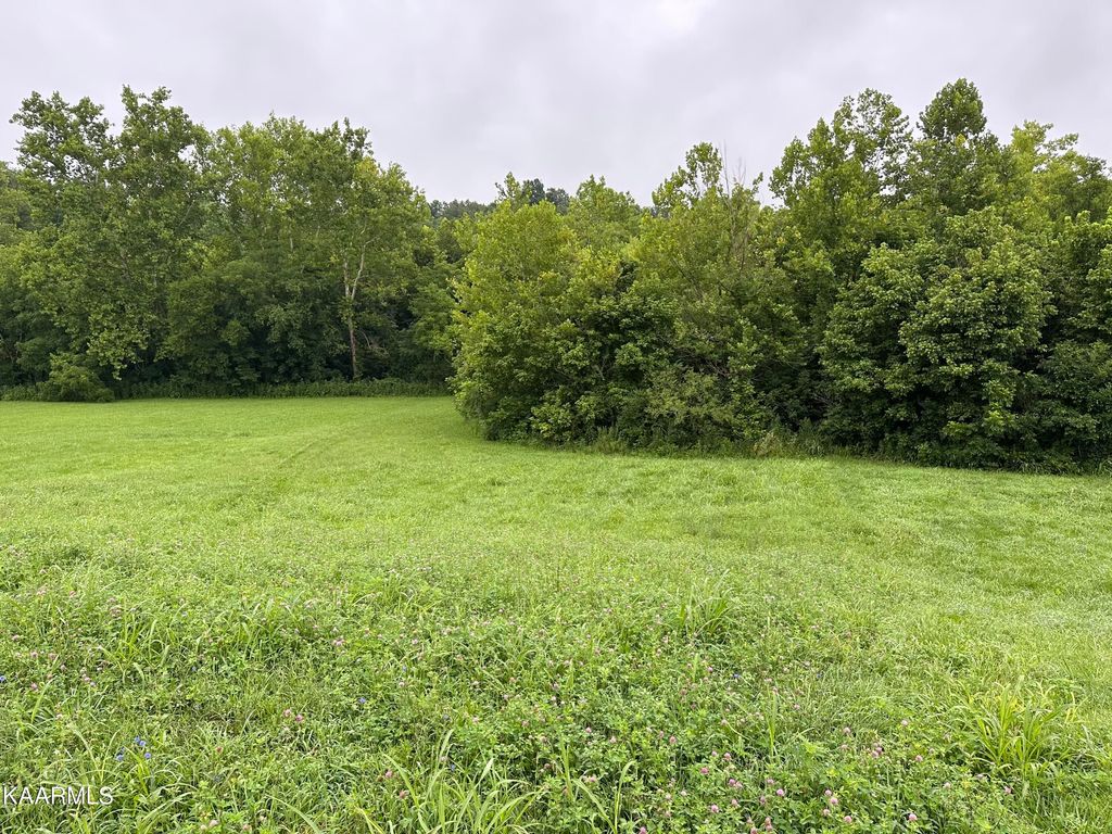 Photo of 548 Running Brook Drive, Strawberry Plains, TN 37871 (MLS # 1233765)