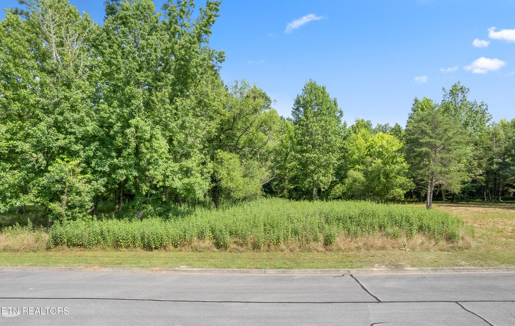 Photo of Creekside Drive, Harriman, TN 37748 (MLS # 1332838)