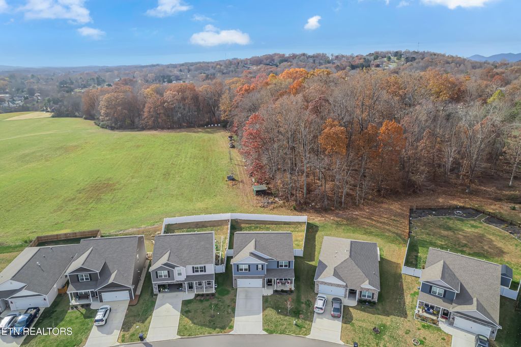 Photo of 6365 Night Time Drive, Knoxville, TN 37931 (MLS # 1322426)