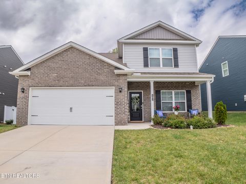 Photo of 142 Thistle Drive, Bluff City, TN 37618 (MLS # 1339019)