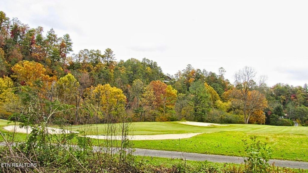 Photo of 3755 Warden Branch Lane Ln, Gatlinburg, TN 37738 (MLS # 1298024)